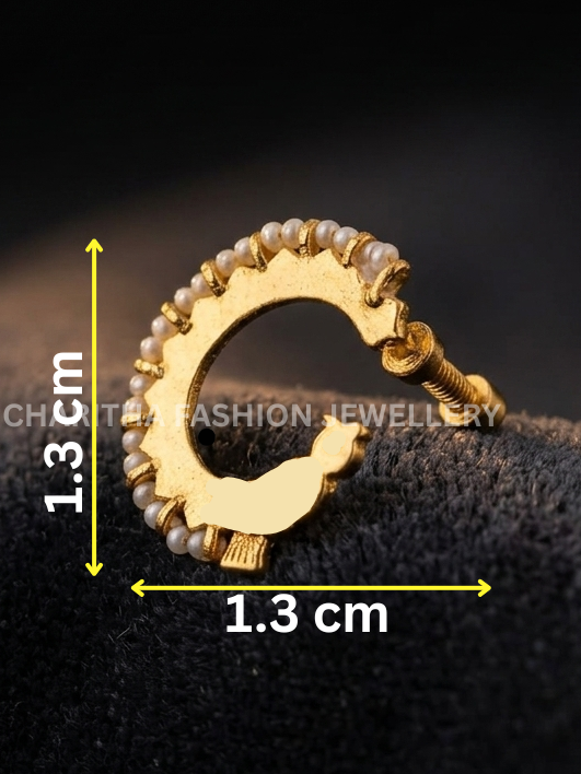 Nose Pin 2