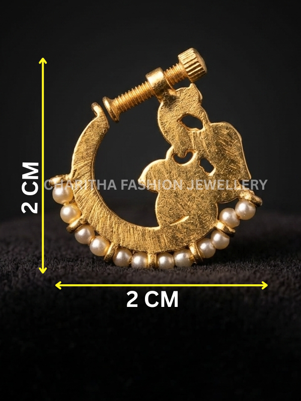 Nose Pin 1